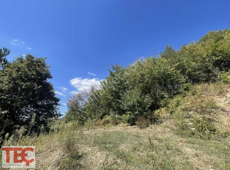 Kartepe Serinlik'te Satılık 2 Adet Tarla Teç