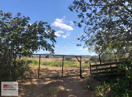 Rw Nefes'ten Şahinler'de Zeytinlik Tadında Muhteşem Hobi Bahçesi