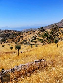 Milas Akçakayada Satılık 6.228 M² Tarla Doğa Ve Deniz Manzaralı