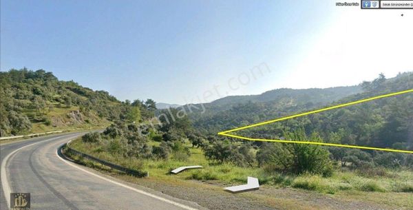 Elvan Özçelik'den Çakıralan'da Satılık Zeytinlik