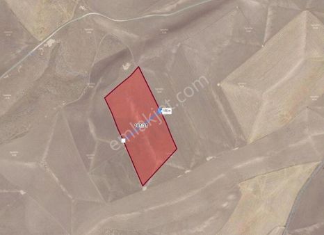 Konya Cihanbeyli Kelhasan Adanalıkepir Mevkiinde Harika Tarla. Çok Geniş. Kaçmaz Fırsat