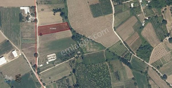 Nilüfer Çalı'da Satılık 3800m2 Nin 3681,25 Tapu Tarla