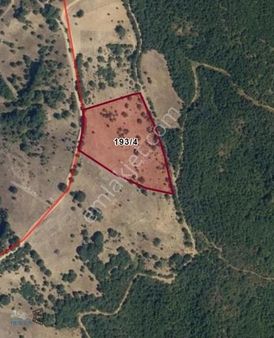 Yatırıma Uygun 11.488 M² Tarla Bursa Yenişehir Burcun