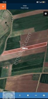 Yuvam Emlaktan Muşruf Köyünde Şehrin Merkezine Yürüme Mesafesinde Satılık 7 Dönüm Tarla