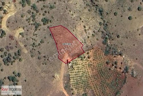 Konya Bademli Köyüne 300mt Müstakil Tapulu 1449mt Satılık Tarla