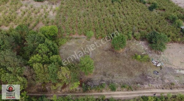 Düzce Konut Emlak | Yeni Aynalı | Satılık 1.000 M2 İmarlı Arsa!