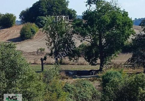 Kandıra Babaköy Denize Yakın Arsa