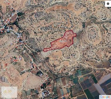 40 Dönüm Silifke Kocaoluk Satılık Tarla