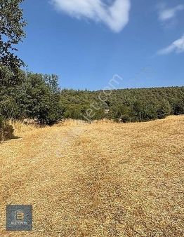 Beynil'den Bursa Orhaneli Serçeler'de 7333 M2 Satılık Tarla