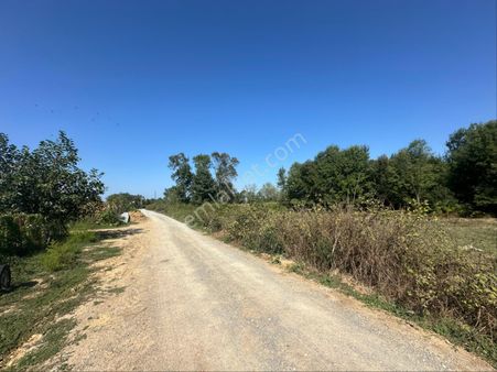 Gölkent Ana Yoluna Çok Yakın %40 İmarlı 421 M2 Satılık Arsa