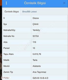 Düzce Çilimli Yeniköyde Satılık 5615 M2 Tarla