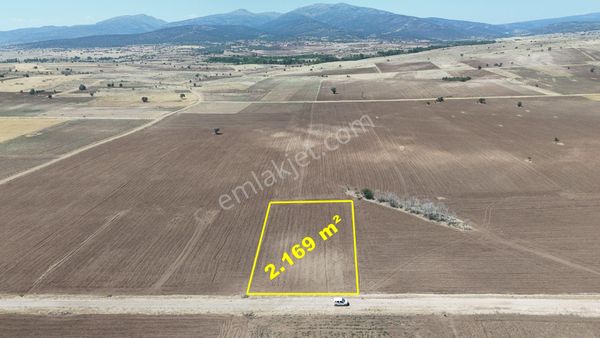 Konya / Akören / Tülce Mahallesinde 2.169 M² Müstakil Tapulu Tarla