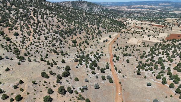 Konya / Güneysınır / Kurukavak Mahallesinde 1.372 M² Müstakil Tapulu Tarla