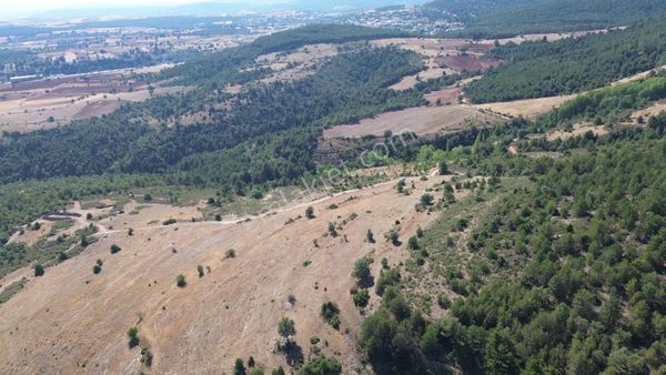 Konya / Doğanhisar / Kemer Mahallesinde 3.255 M² Müstakil Tapulu Tarla