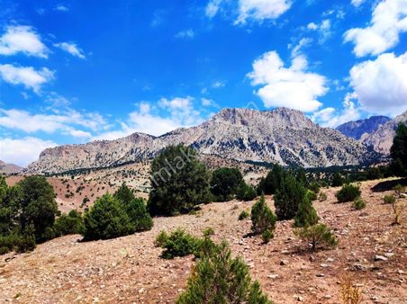 Pozantı Kar Emlaktan Aşçıbekirli Fenese Mevkiinde İmara Uygun 5 Dönüm Tarla