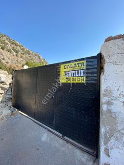 Aydın Sazlı Mahallesinde Müstakil Ev