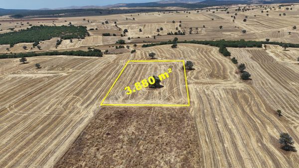Konya Beyşehir Yenidoğan 3.880 M2 Müstakil Tapulu Tarla
