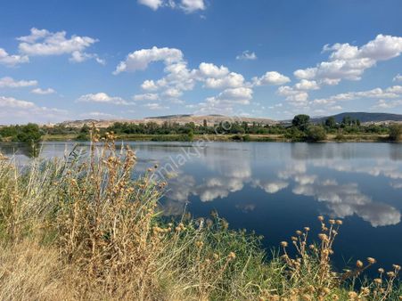 Nova'dan Millet Bahçesinin Yanında 1000 M2 Arsa