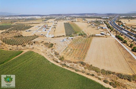 Pasifikten Menderes Oğlananasında 4.587 M² Tek Tapu Tarla