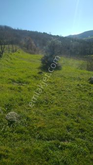 Akgün Kurumsal'dan Kavak Da Satılık 5812 M2 Arsa