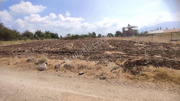 Atabey'den Aladağ Kıcak Mahallesinde 2 Dönüm Hisse Yol Kenarı Satılık Tarla