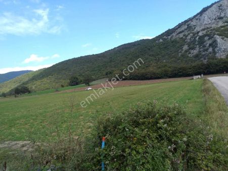 Bursa, Yenişehir,burcun Köyü, Satılık Köşe Tarla