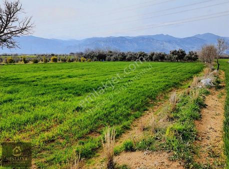 Döşemealtı Karataş'ta Yatırımlık 5.931 M2 Satılık Tarla