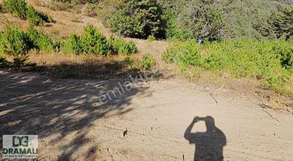 Asfalta Cephe Tek Tapu