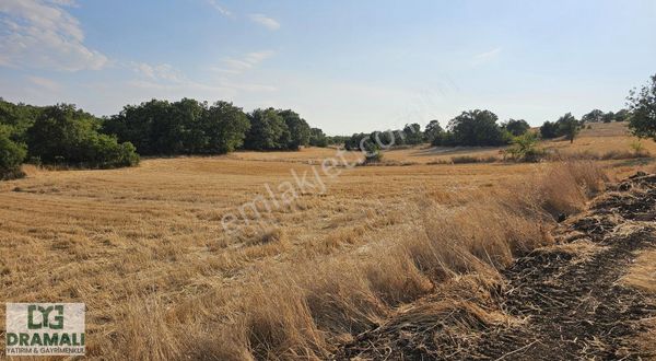 Dramalı Yatırım Bursa Yenişehir Akbıyık Satılık Tarla 961,75 M2