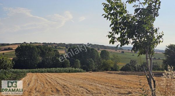 Bursa Yenişehir Akbıyıkda Yatırıma Uygun Satılık 530,67 M2 Tarla