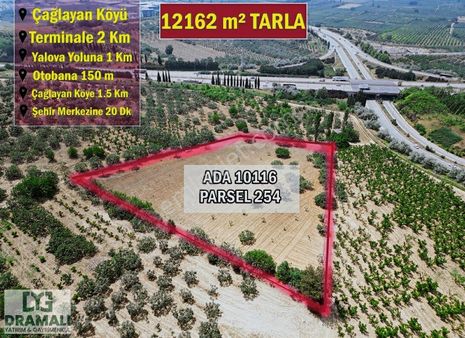 Muhteşem Konumda, Otobanın Yanında Geleceği Parlak Tarla