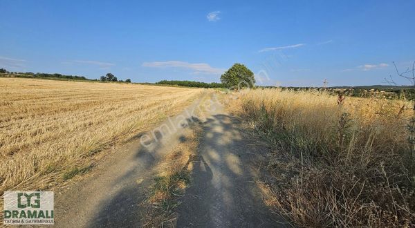 Dramalı Yatırım Bursayenişehir Akbıyık Satılık 311,68 M2 Tarla