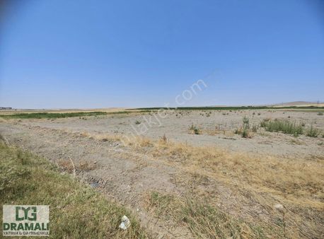 Beylikova İlçe Merkezine 1 Km, Asfalta Cephe Fırsat Arazi