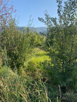 Nadirde Satlık Bahçe