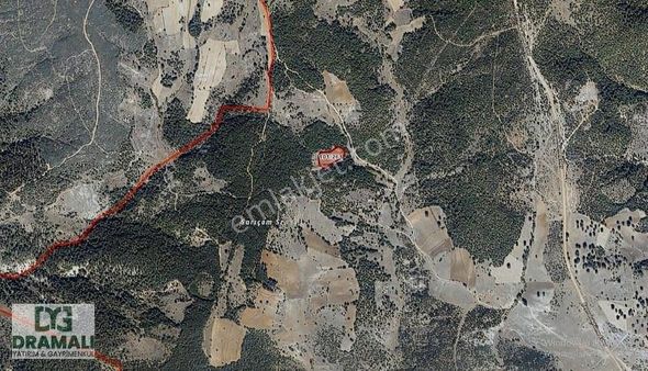 Kütahya Merkez Kıranşeyh'de Çiftlik Yapılabilir Orman İçi Arazi