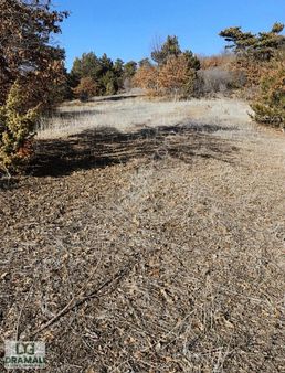 Kütahya Kıranşeyh'de Merkeze Yakın Köy Mücavir Alanında Tarla