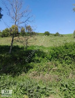 Bursa Yenişehir Terziler Tek Tapu Yatırımlık Tarla