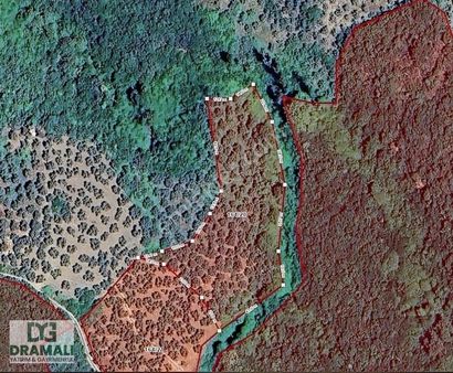 Büyük İndirim Mudanta Talatbey Deniz Manzaralı Zeytinlik