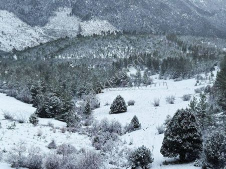 Pozantı Kar Emlak Alpu Yaylasında 400 M2
