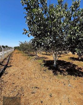 Mükemmel Konumda 1.600 M2 Bahçe Kongaz Dolum Merkez Yakını