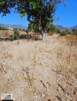 İncirköy Mh 3 Adet 395 M2 Hisse Satılık Rızai Taksim Vardır