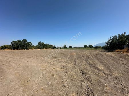 Startkey Platın'den Muradiye Satılık Arazı