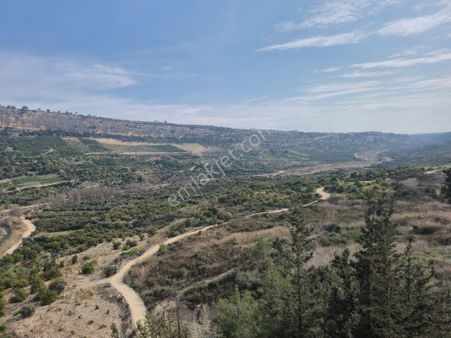 Aslan'dan Sarıyerde Vadi Ve Deniz Manz. 4.950 M2 Avakado Bahçesi