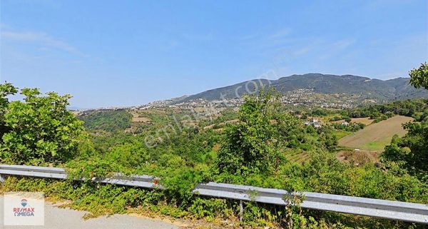 Havuzlubahçe De 27mt. Yola Cephe 548m2 Satılık İmarlı Arsa