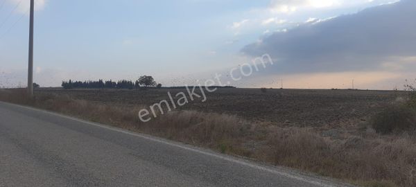 Bandırma Yeşilçomlu Mah. Muhteşem Konumlu Satılık Arazi