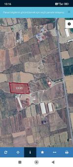 Alamut Köyünde 15 Dönüm Satılık Bahçe