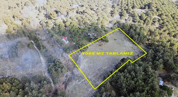 Hanlar Olcay Piknik Yanı Satılık 7 Dönüm Tarla