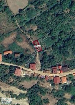 Afyon Prestij Gayrimenkul Kastamonu Cide Doğankaya Satılık Bahçe