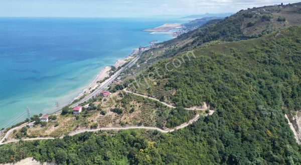 Cenury 21'den Divani Mevkii'nde 5850 M² Tek Tapu Fındık Bahçesi