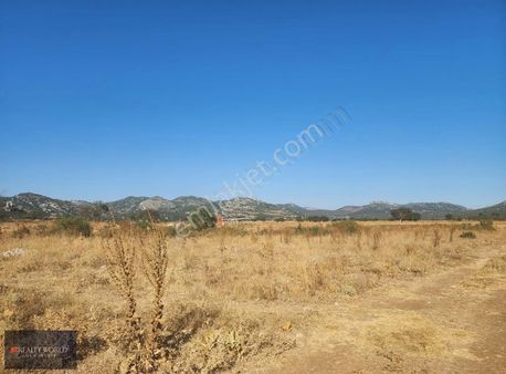 Realty World Anka Dan Melidağında 6.901m² Tarla